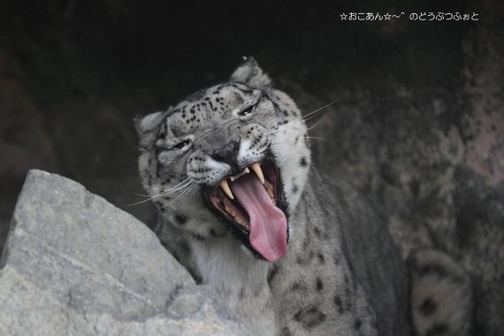 ティアン