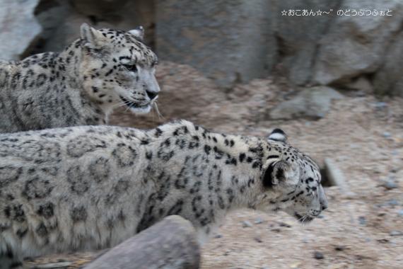 ティアン&ユッコ