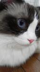 2012071517400001.jpg