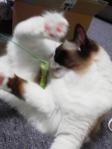 2012080518140000.jpg