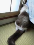 2012100814100000.jpg