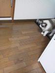 2012100814120000.jpg