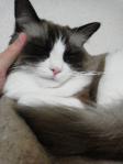 2012120217500001.jpg