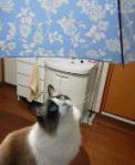 2013011318380000.jpg
