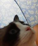 2013011318390000.jpg