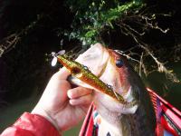20120520-2.jpg