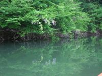 20120520-3.jpg