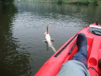 20120602-5.jpg