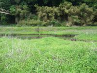20120602-6.jpg