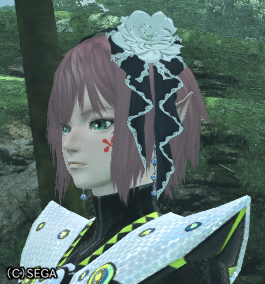 pso20120707_6.jpg