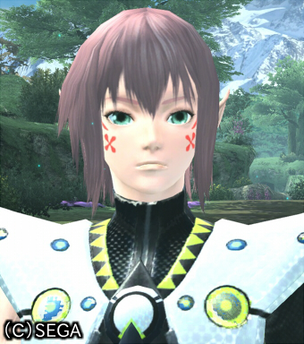 pso2012616_2.jpg