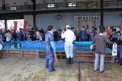 IMG_9546_2.jpg