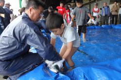 IMG_9568_2.jpg