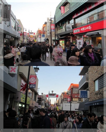 20130102komatidori.jpg