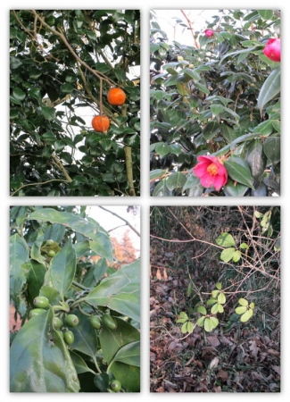 20140118yubaki_a.jpg