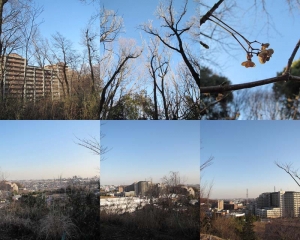 20140131kouenn.jpg