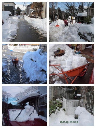 20140209yukikaki.jpg