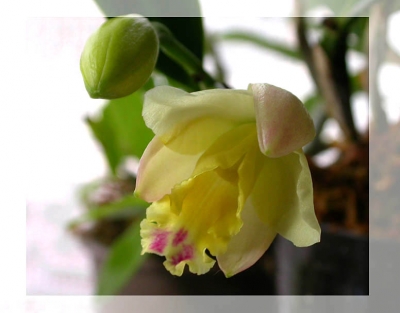 DSCN8408_a.jpg
