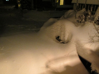 IMG3184_a.jpg