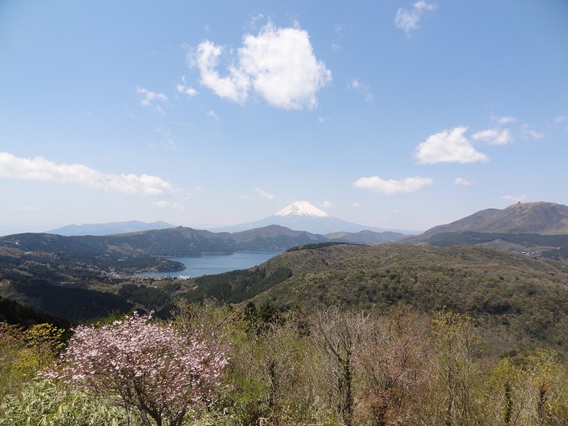 DSC07116.jpg