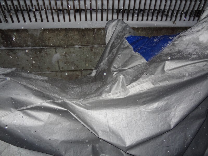 s-DSC08495.jpg