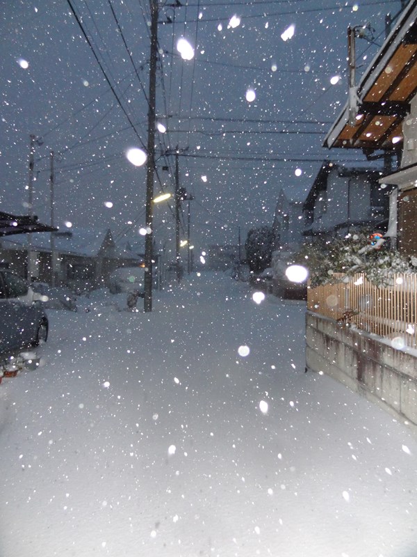 s-DSC08497.jpg
