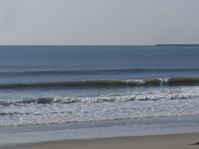 CIMG0337.jpg