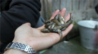 12052154864587.jpg