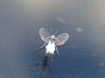 20051020_85436.jpg