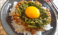 20090209154950.jpg