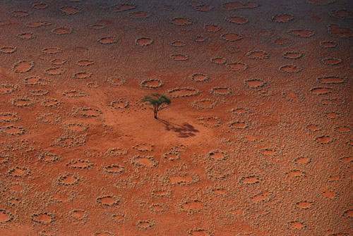 29circles-span-articleLarge.jpg