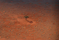 29circles-span-articleLarge120.jpg