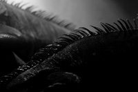 7694985406_825c5d8cf5.jpg