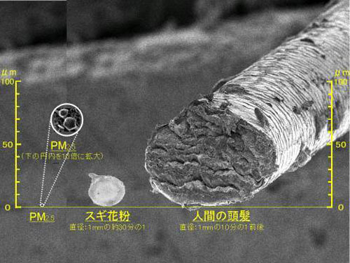 o0480036012485564157.jpg