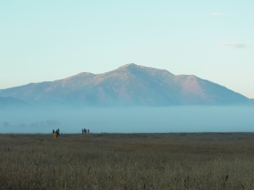 jitugi-fukusima01.jpg