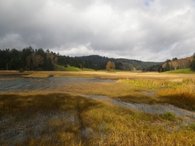 jitugi-gunma05.jpg