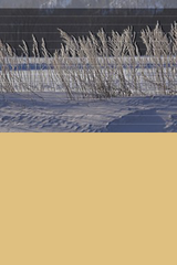sample_02