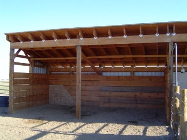 free horse run in shed plans horse run in shed-plans to