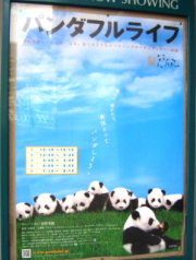 パンダフルライフ