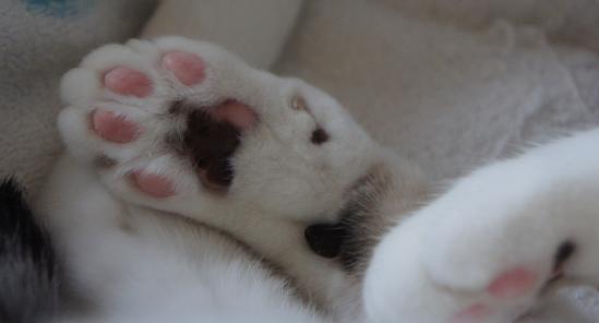 20120522 009