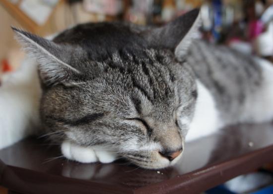 2012 0724 010