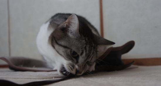 20121229 117
