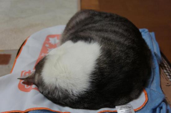 pan