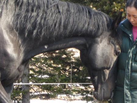 IMG_2751_convert_20120516001149.jpg