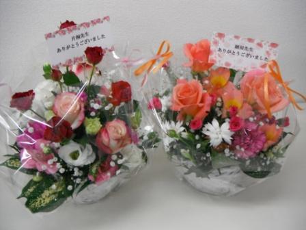 DSCF2313.jpg
