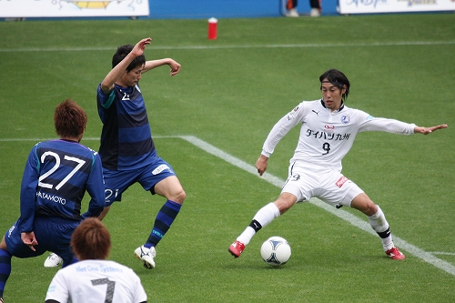 尾亦