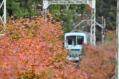 DSC_5078S.jpg