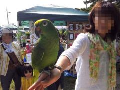 20120608_150930.jpg