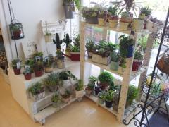 20120709_131009.jpg