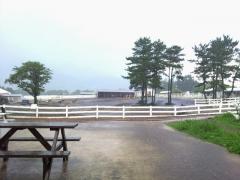 20120817_103605_edit0.jpg